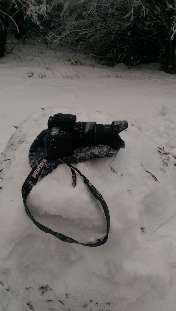 Pentax K-3 sitting on the snow while snow falls on it