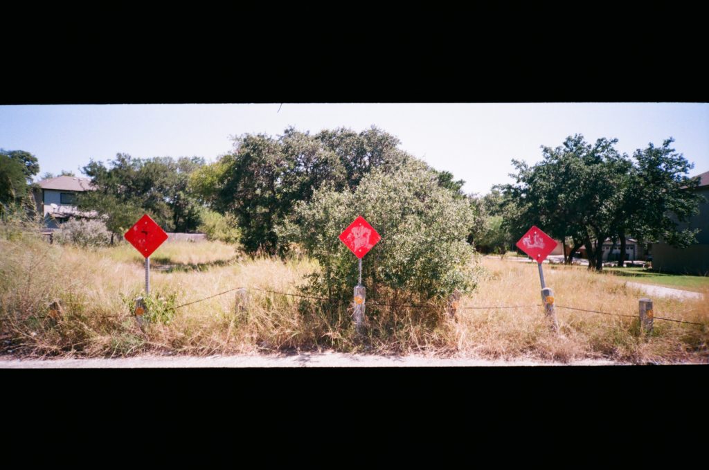 Wild Perspective with the Minolta P's (Riva Panorama) - Snappiness