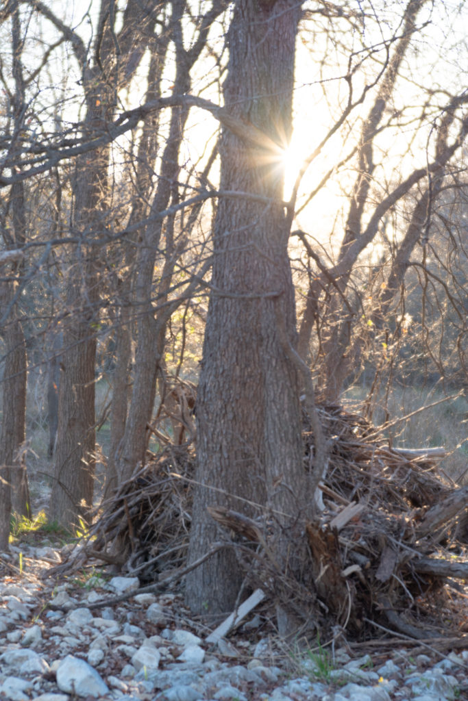 Nature photo taken on Pentax K-1 and Pentax-F 85mm F2.8 Soft Lens