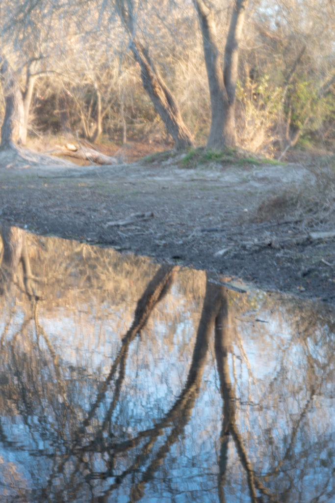 Nature photo taken on Pentax K-1 and Pentax-F 85mm F2.8 Soft Lens