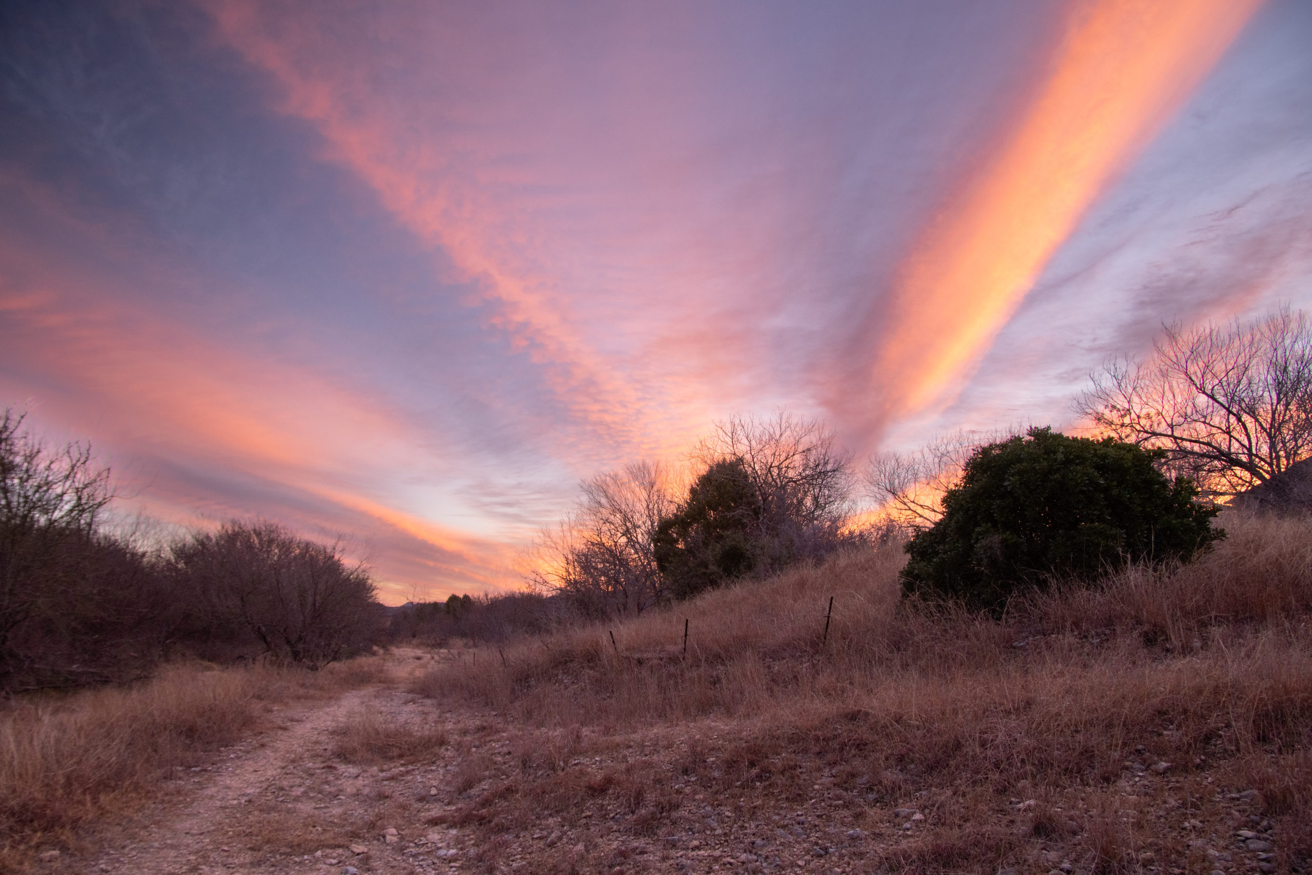 Photograph taken on Pentax DA* 16-50mm f2.8 lens