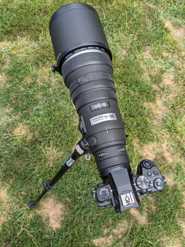 Olympus 300mm f2.8 mounted onto Panasonic G85 camera